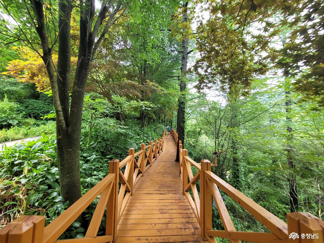 고운식물원 