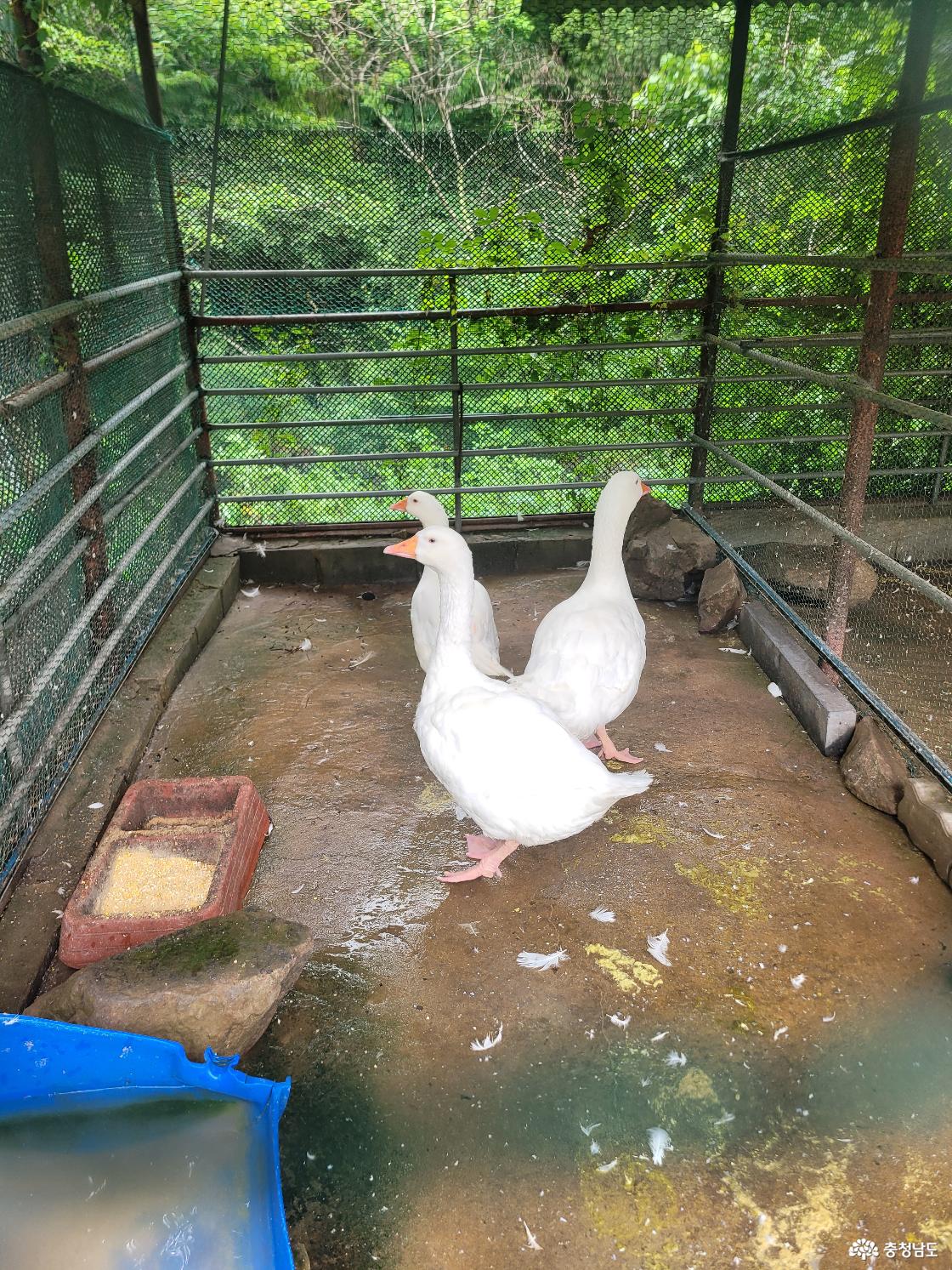 고운식물원 