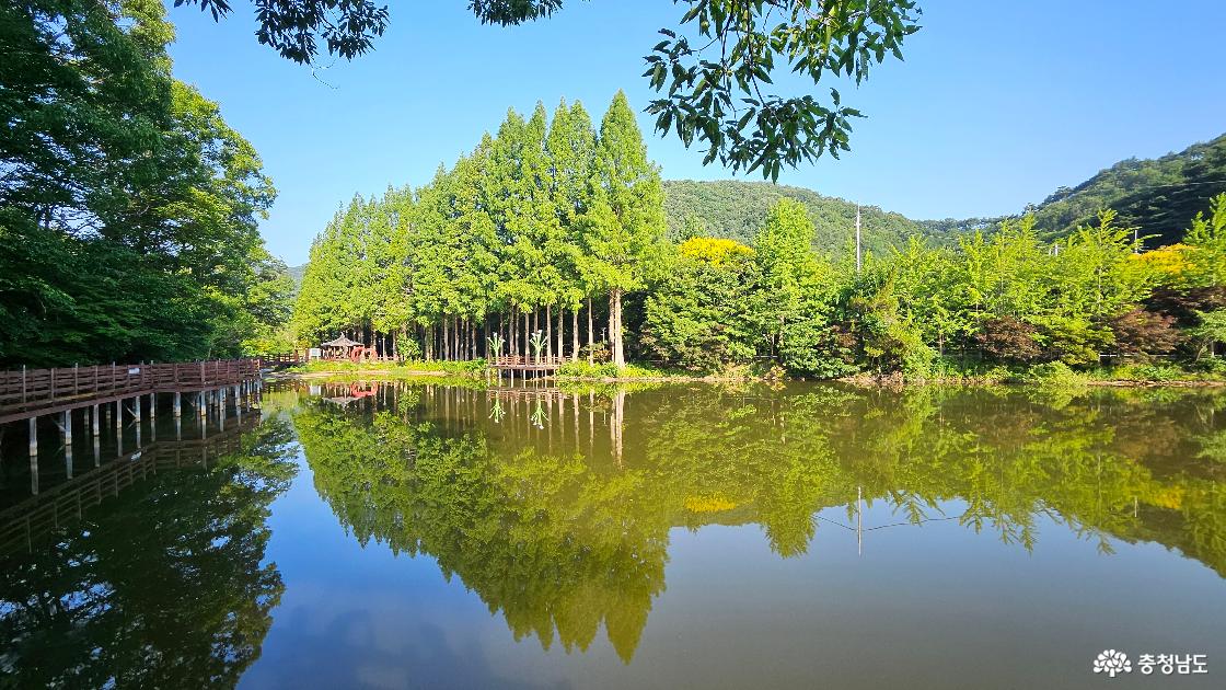 입암저수지 풍경 사진임