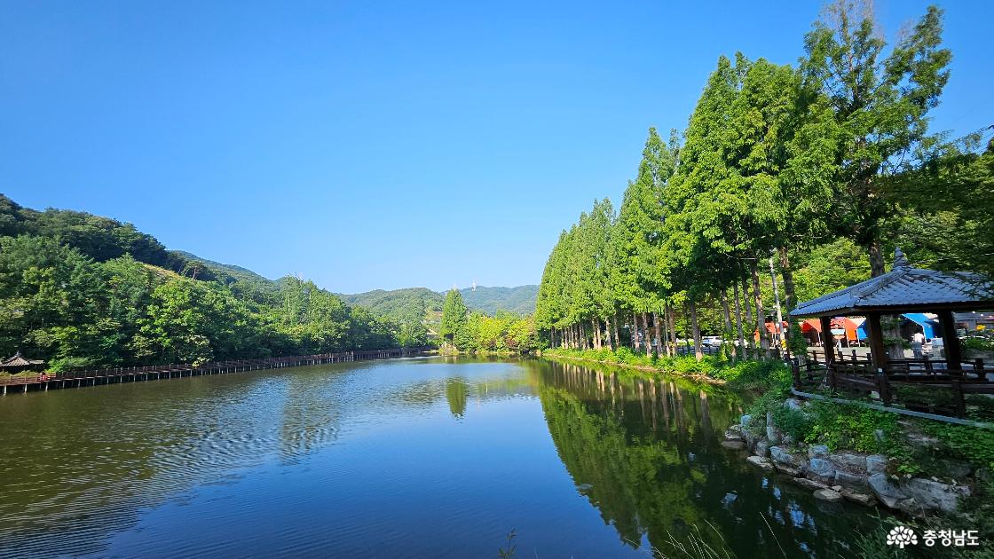 입암저수지 풍경 사진임