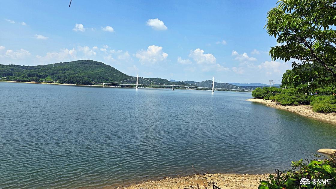 논산 랜드마크 탑정호 출렁다리