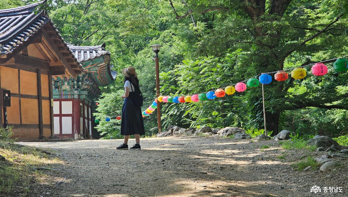 공주 마곡사
