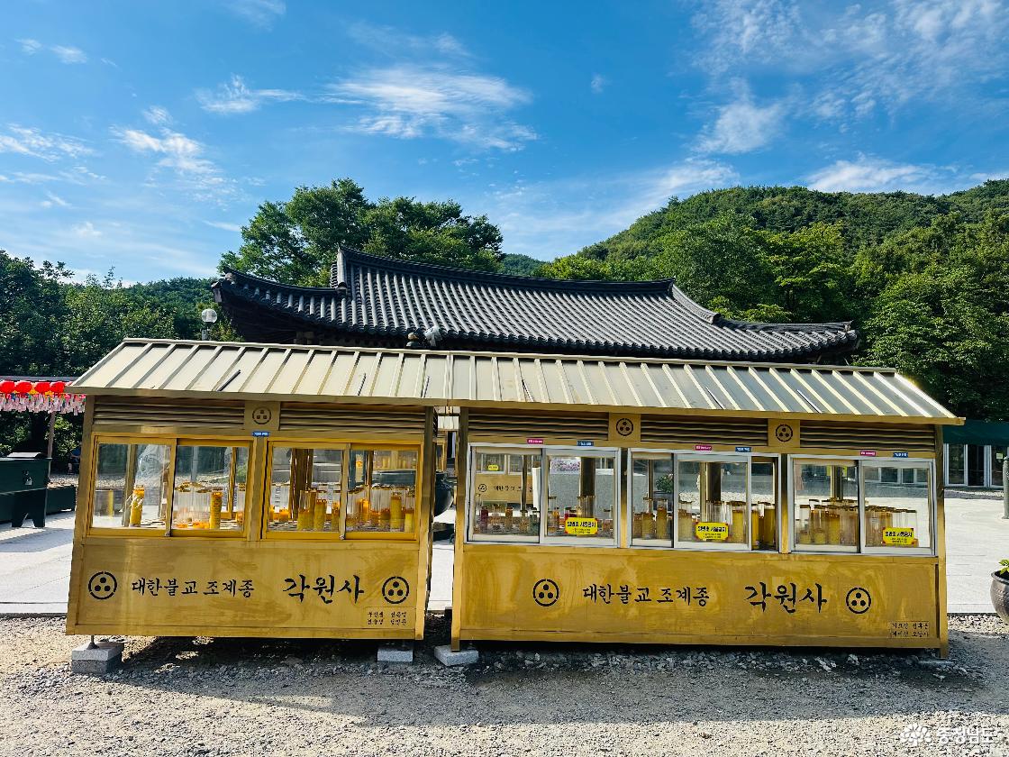 동양 최대 규모 청동대불