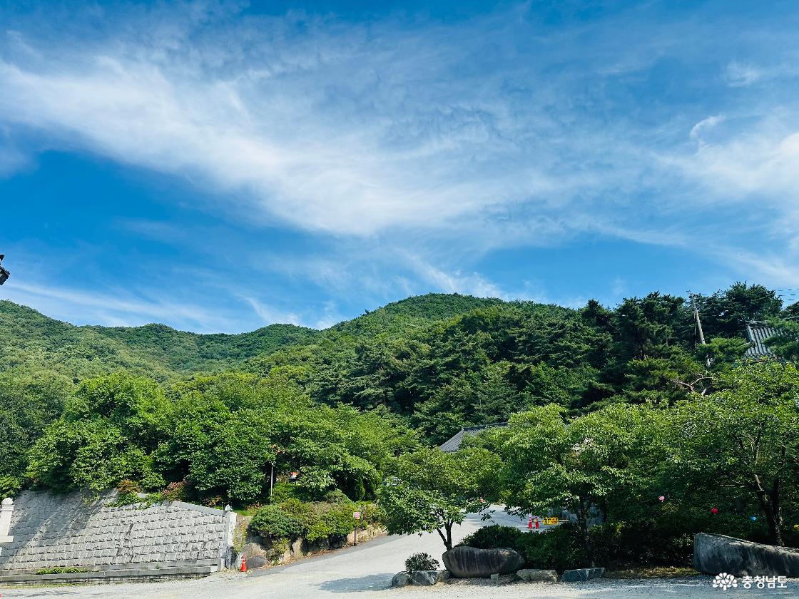거대한 자비의 품에서 일상의 쉼표를 찍다