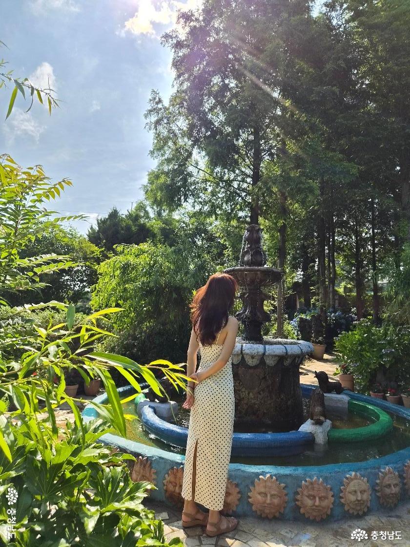 태안 수국명소