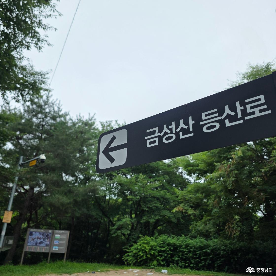 수풀 사이에 설치된 금성산 등산로 방향 안내판이다
