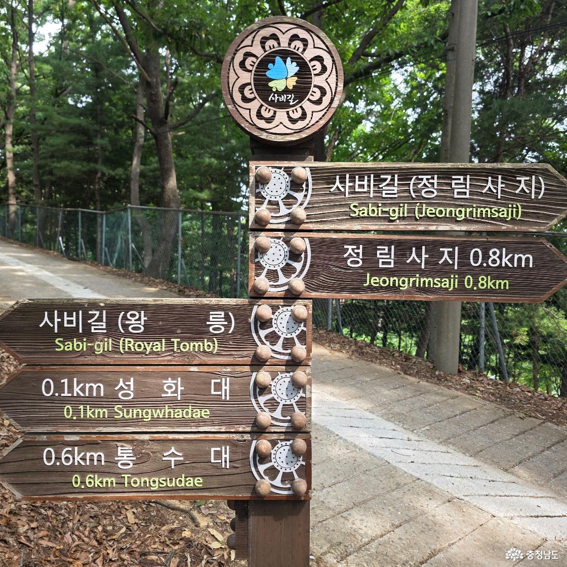 정림사지 등 주요 명소 방향을 알려주는 나무 이정표이다