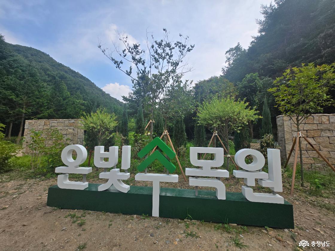 충청남도 논산 온빛자연휴양림