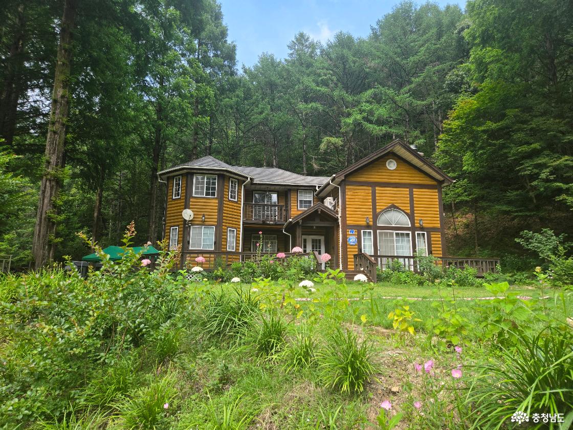 느림의 산책 즐기기