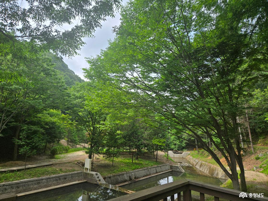 푸르른 여름을 즐겨보세요!