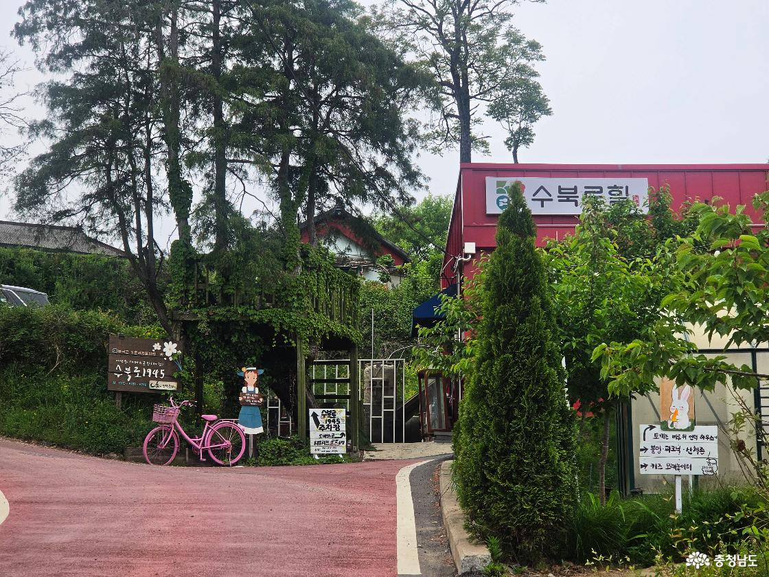 아이와 어른 모두가 만족한 한옥에서의 쉼, 부여 '수북로1945' 방문기