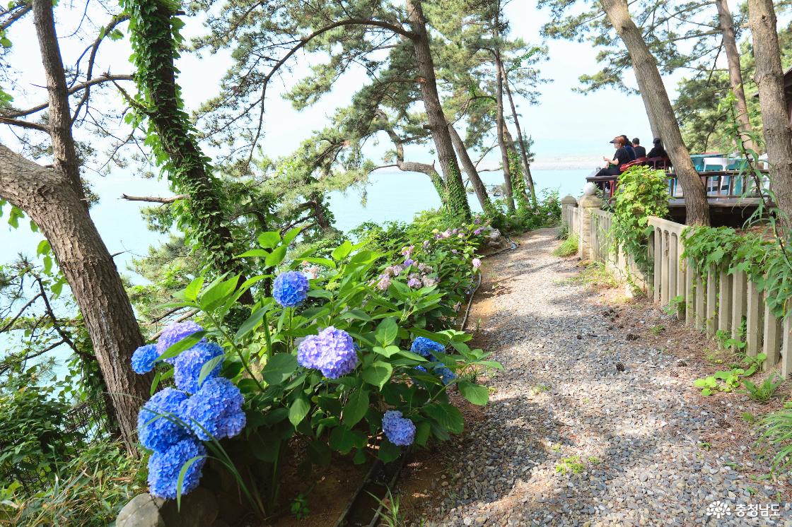 수국이 핀 상화원