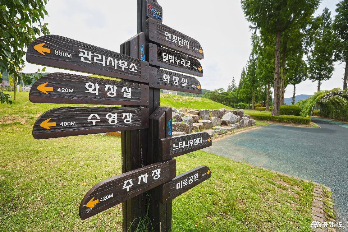 신정호 국민관광지에는 수영장, 연꽃단지, 달빛누리교, 느티나무 쉼터 등 볼거리가 가득하다.