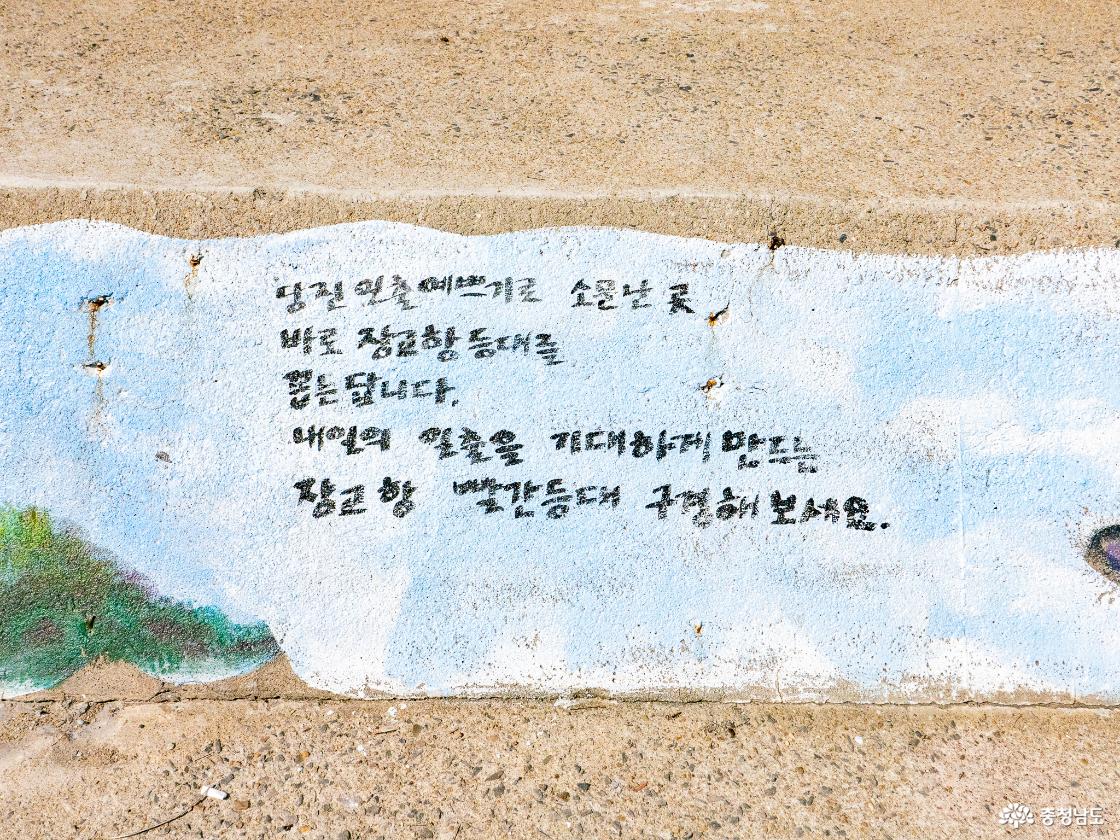 당진 일출 명소 장고항