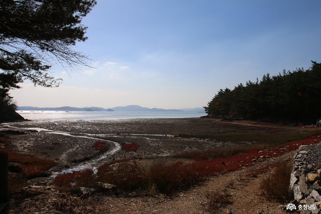 바다와 갯벌, 산자락이 함께 펼쳐진 아라메길 풍경. &lsquo;아라&rsquo;는 바다, &lsquo;메&rsquo;는 산을 뜻하며, 이 길은 서산의 바다와 산, 마을과 유적을 이어준다.