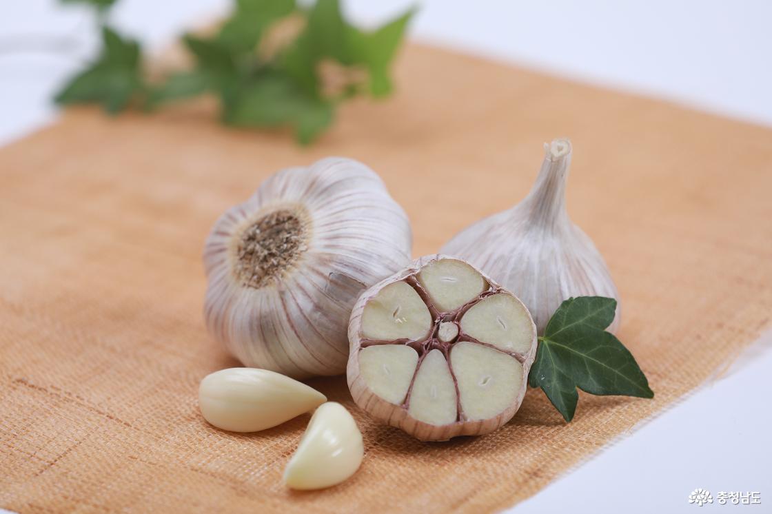 서산을 대표하는 특산품 가운데 하나인 6쪽마늘. 알싸한 향과 단단한 맛은 서산의 밥상을 지역 K푸드로 확장시키는 힘이다.
