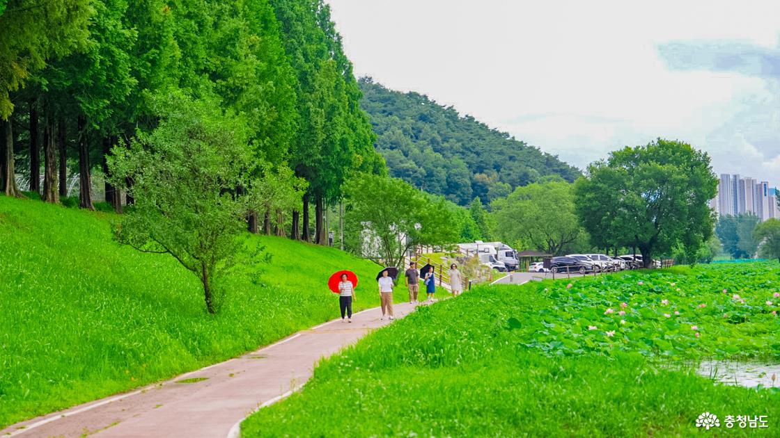 공원을 산책하는 사람들