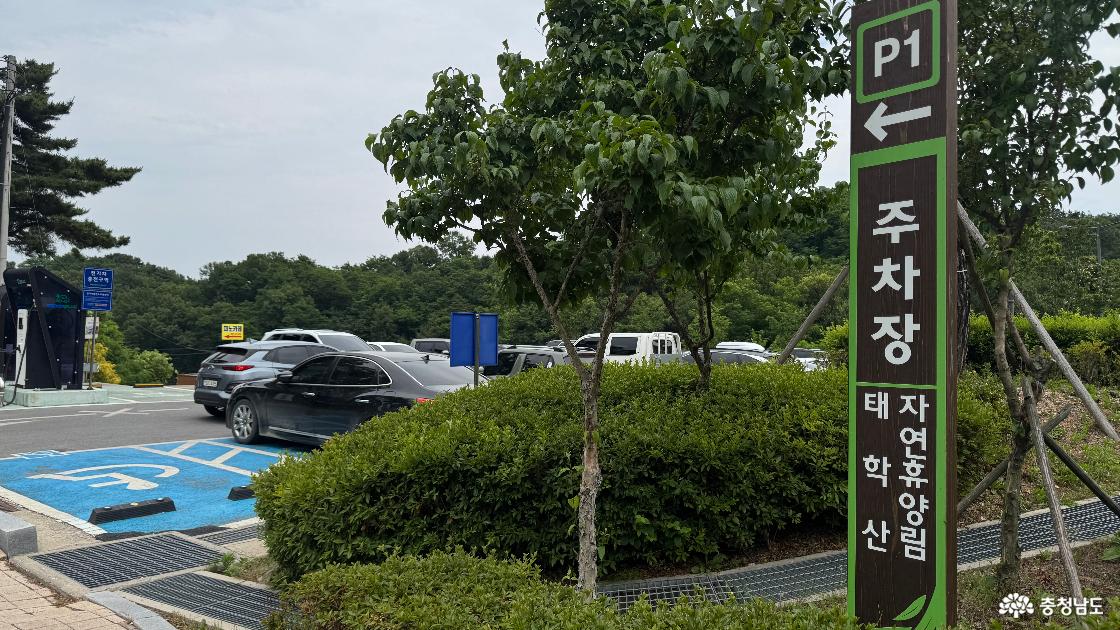 천안 아이와 가볼만한곳 태학산자연휴양림 주차 캠핑장 예약방법