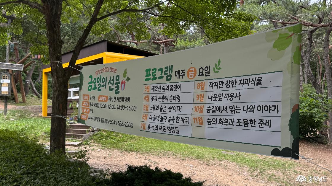 천안 아이와 가볼만한곳 태학산자연휴양림 주차 캠핑장 예약방법