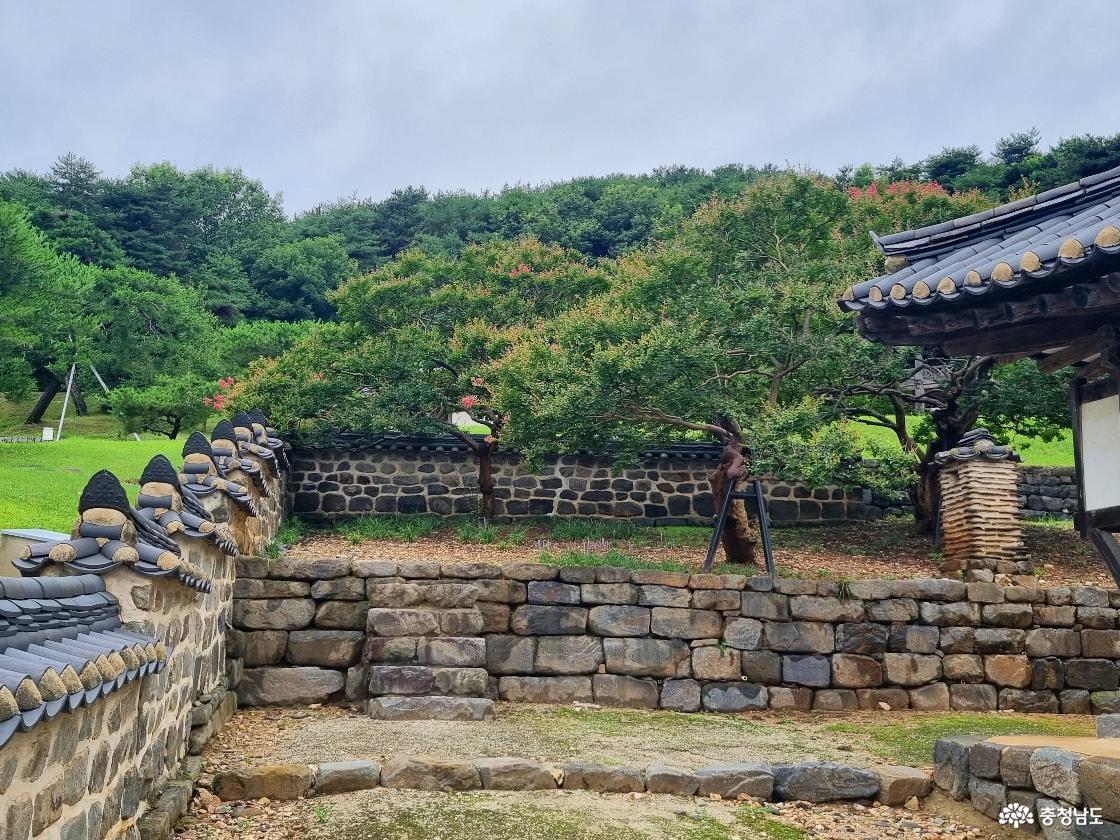종학당 후원의 배롱나무꽃