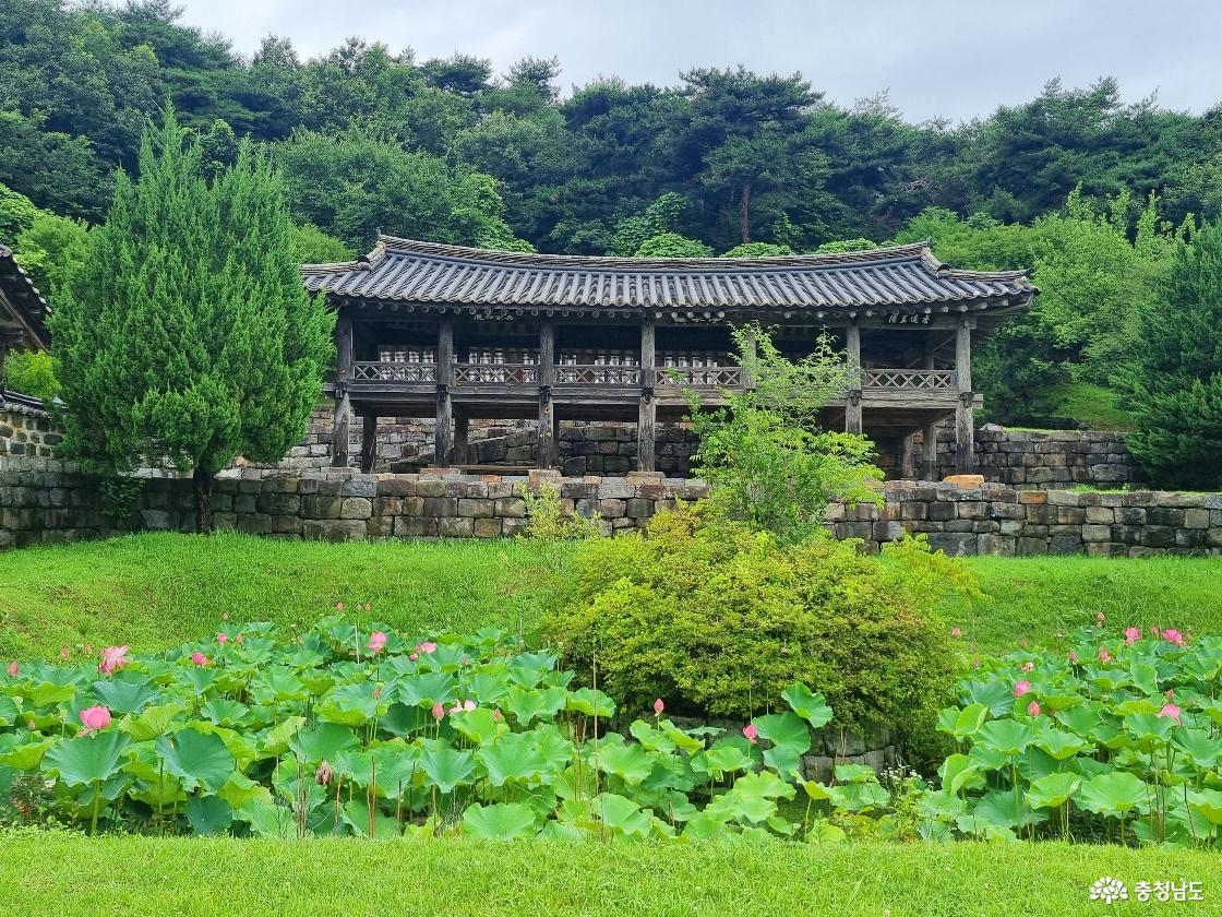 연꽃 연못 뒤로 보이는 종학당 정수루
