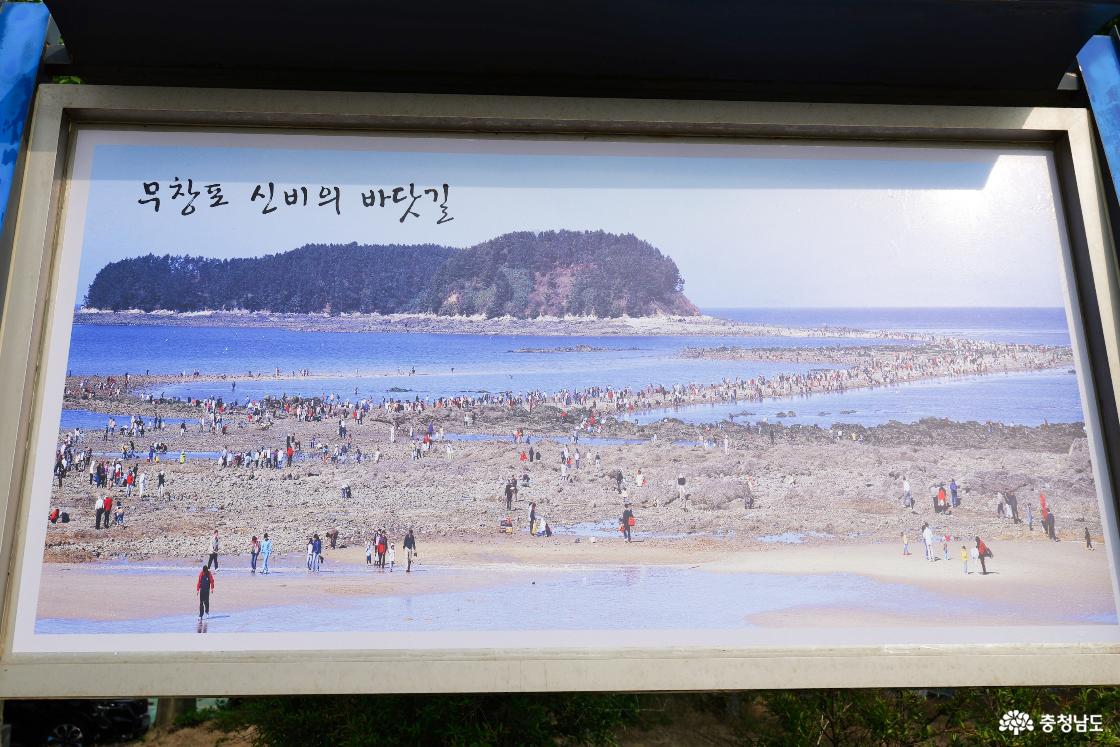 무창포해수욕장 신비의 바닷길