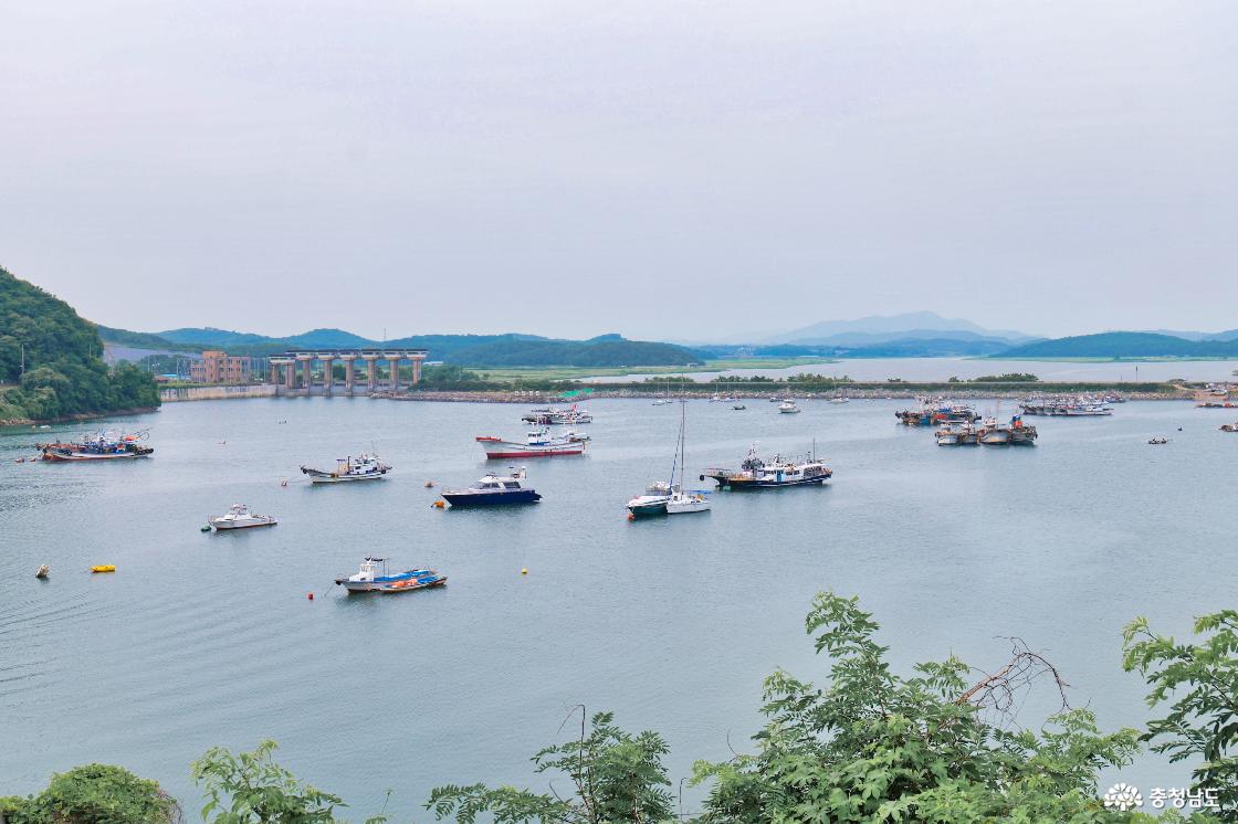 충청수영성에서 바라본 배들