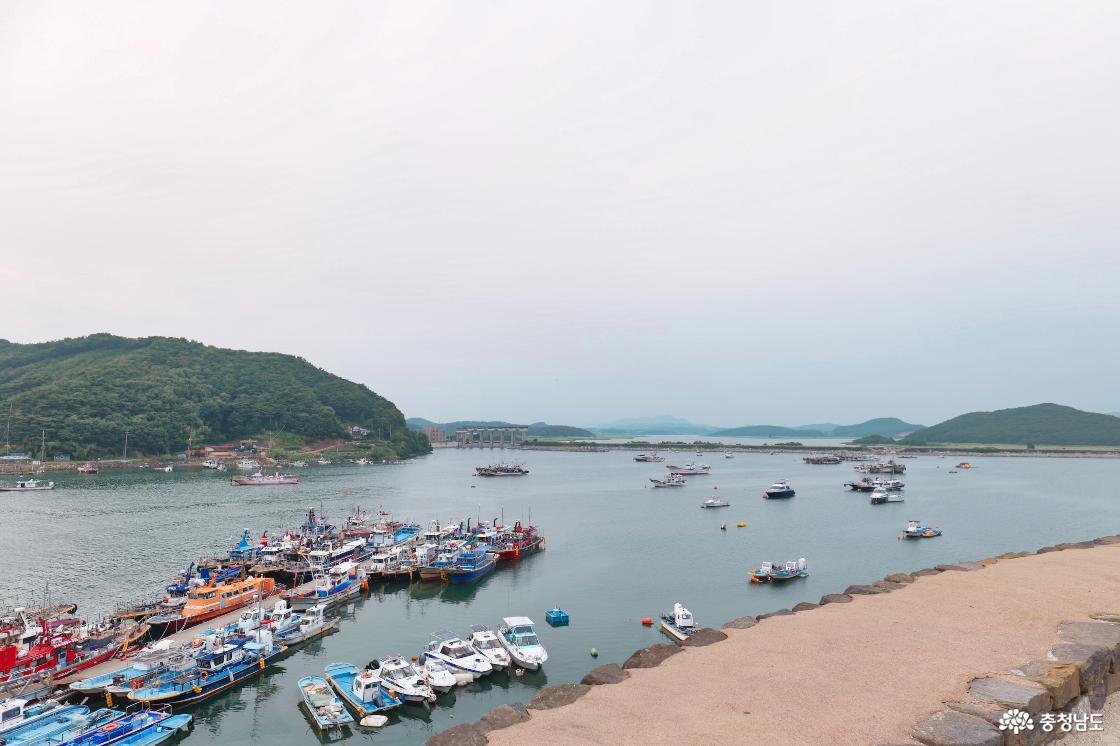 성곽 위 충청수영성에서 바라본 배들