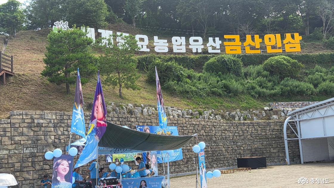금산 인삼 삼계탕 축제