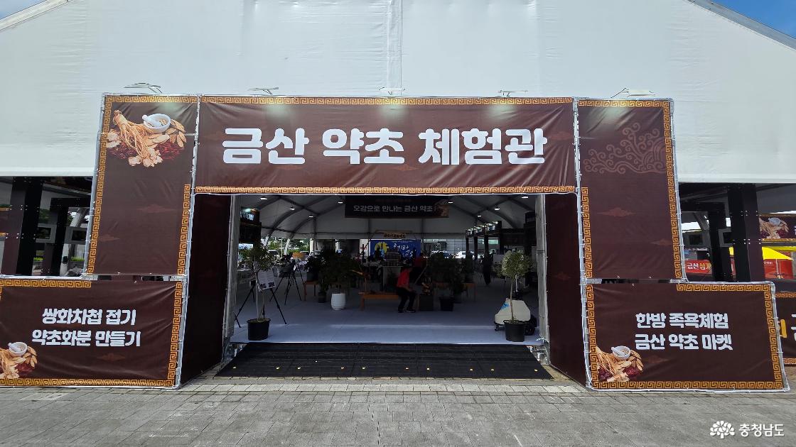 금산 인삼 삼계탕 축제
