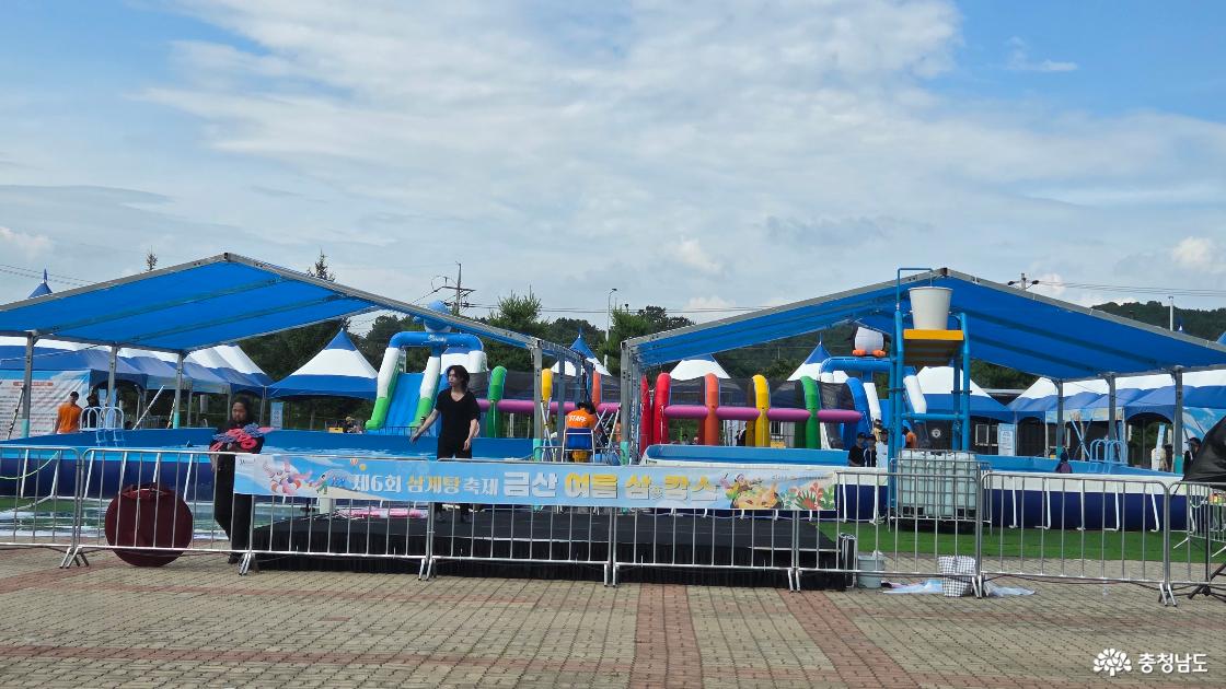 금산 인삼 삼계탕 축제
