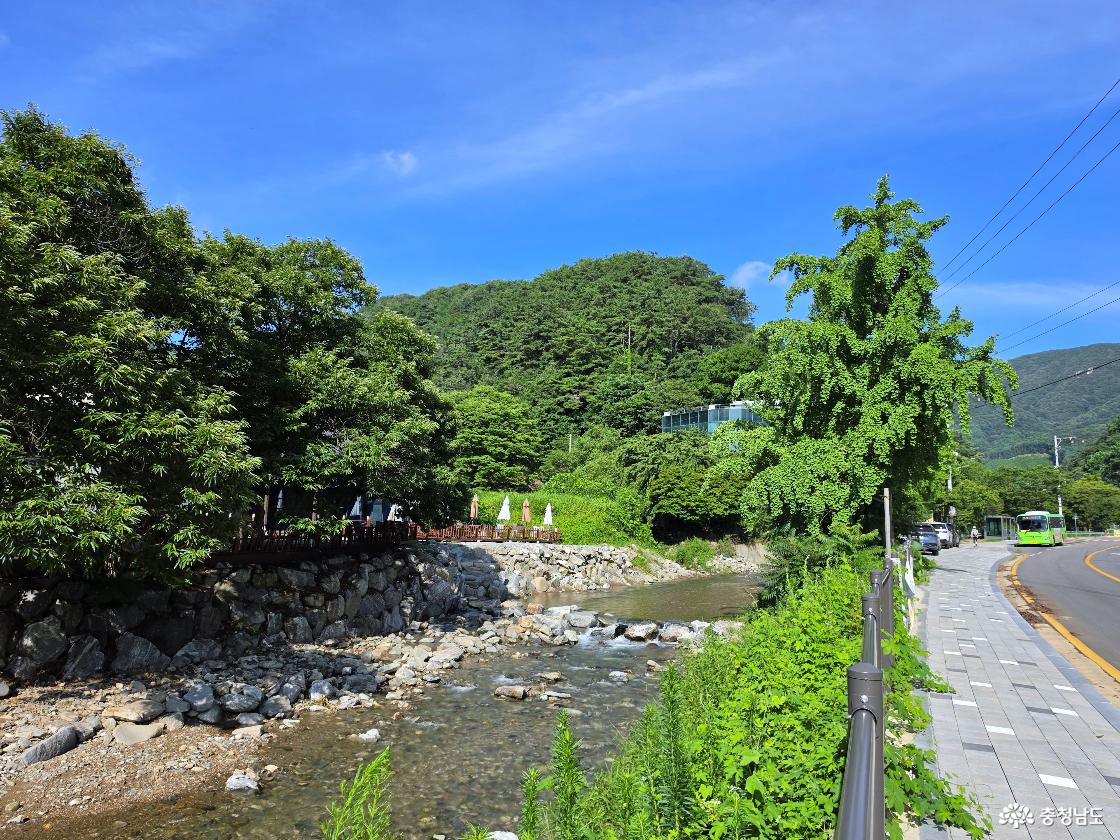 광덕산 계곡