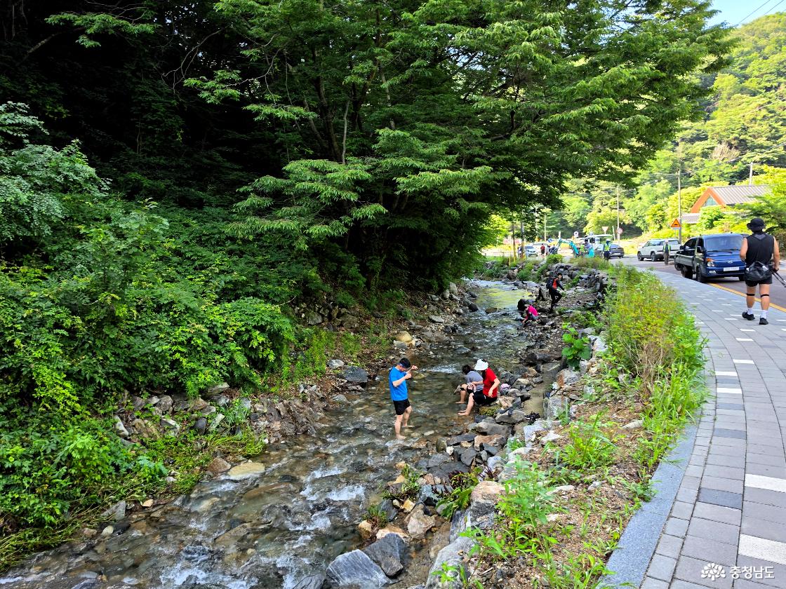 광덕산 계곡에서 노는 사람들