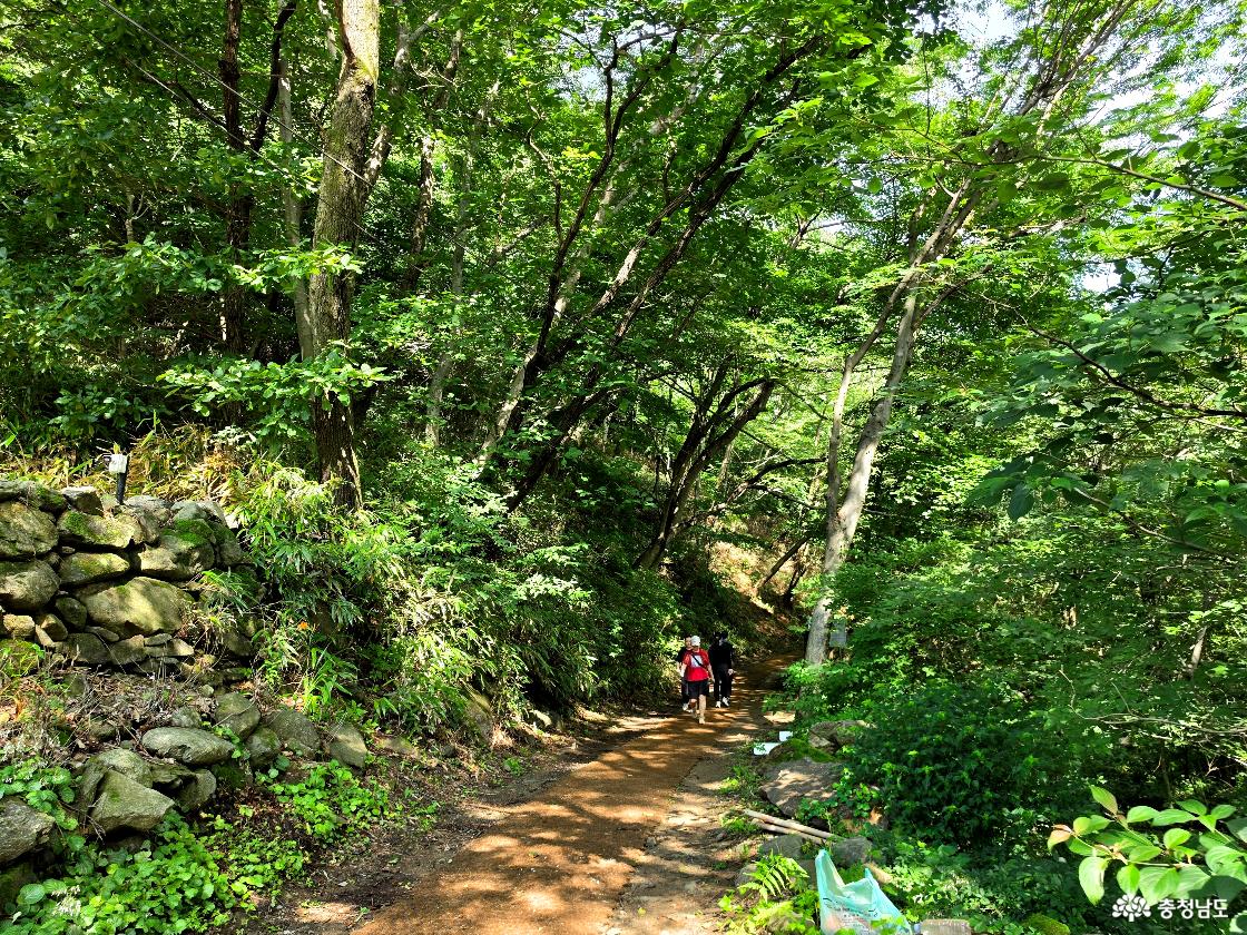 광덕산 등산로