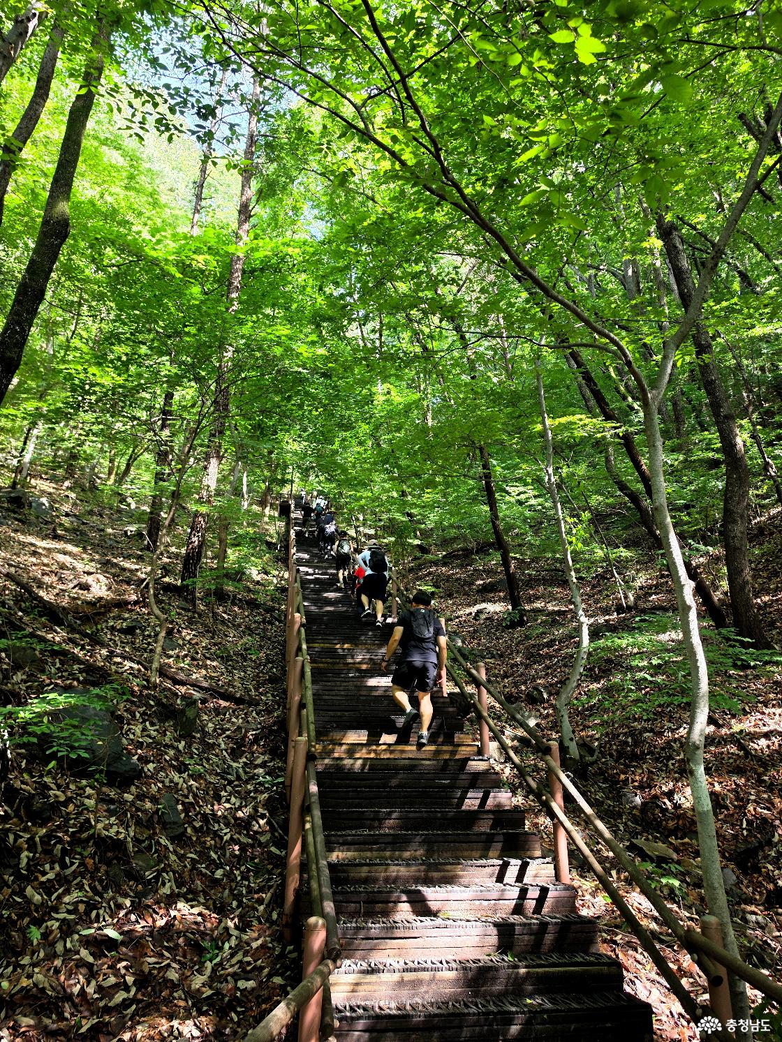 광덕산 등산로 계단