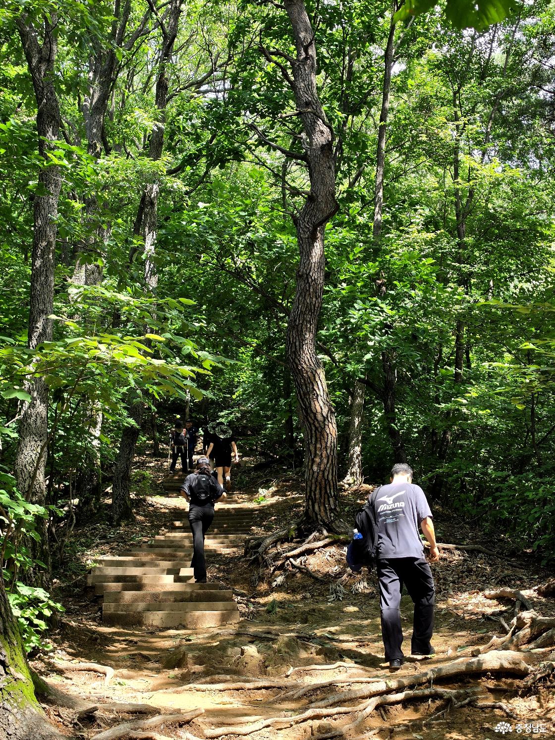 광덕산 등산로