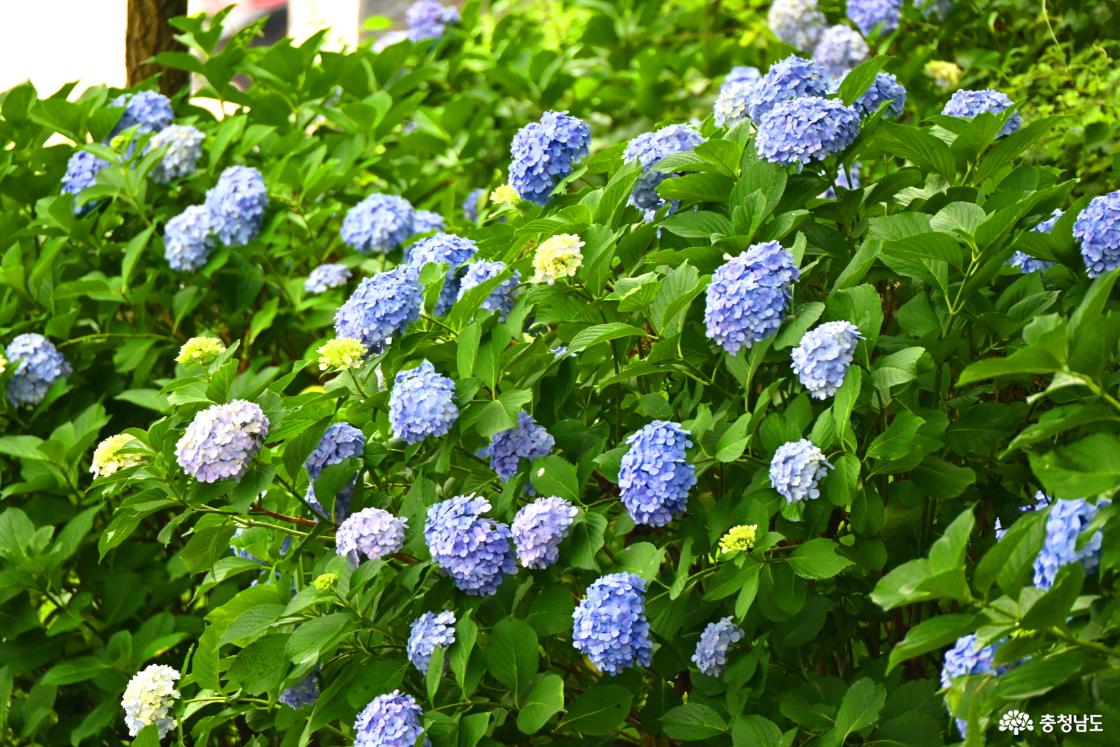 서산 부석사