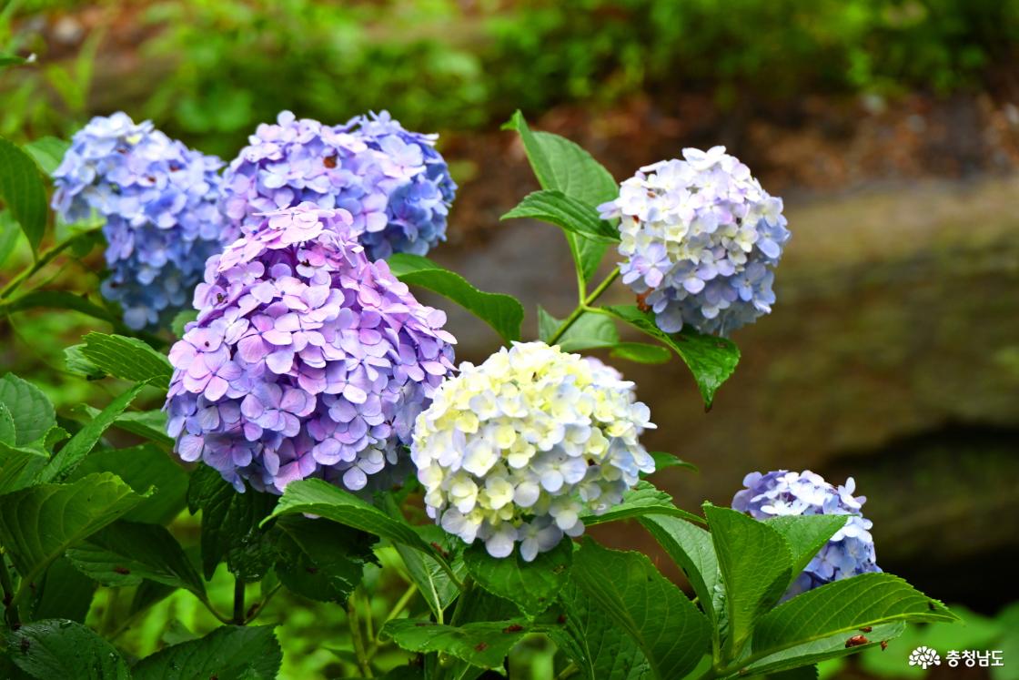 서산 부석사