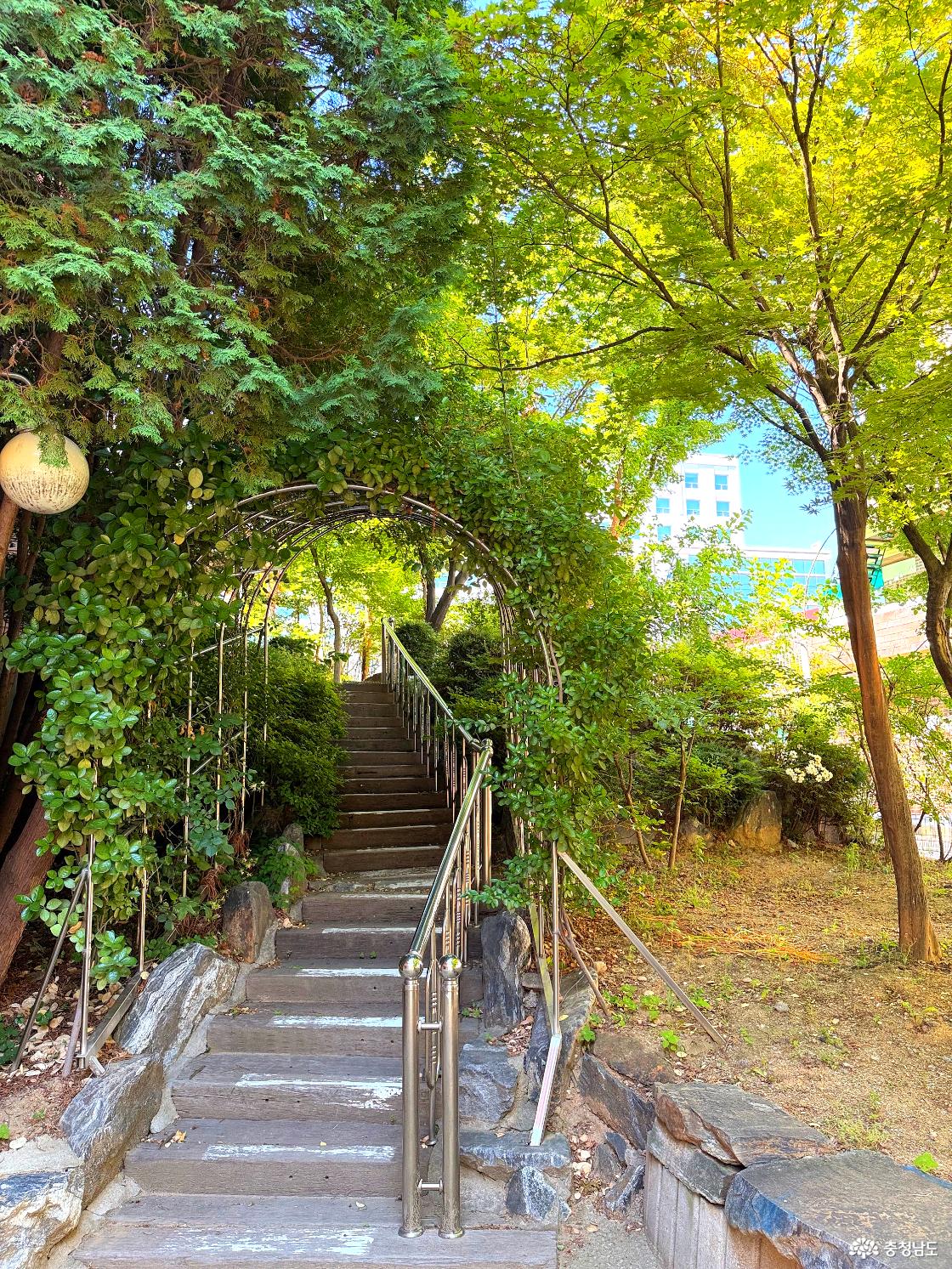 산책로