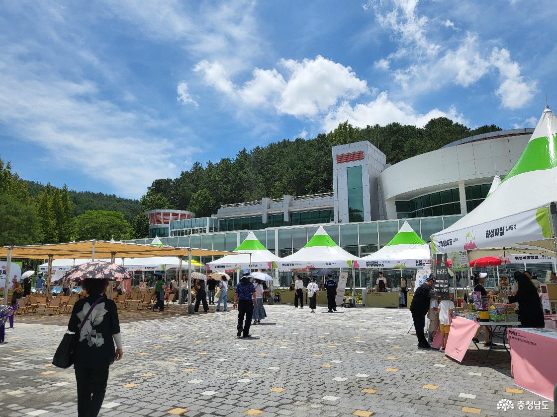 청양맛축제 전경