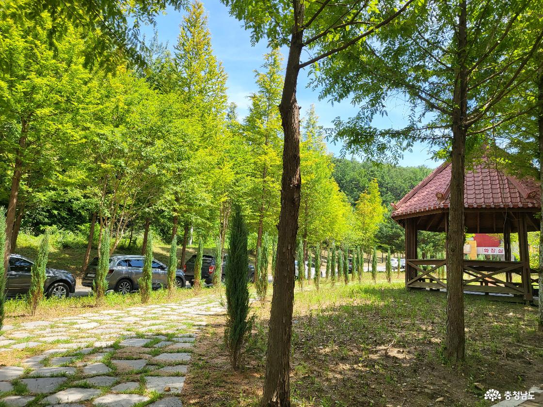 고추문화마을 숲길