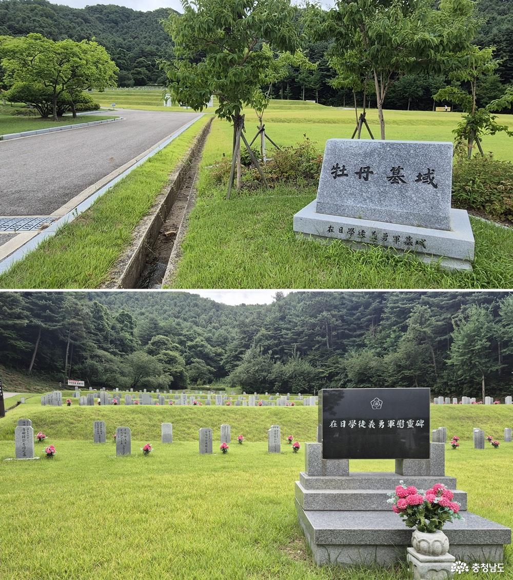 모란묘역(재일학도의용군 묘역)