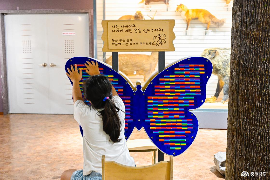 나비 날개 꾸미기