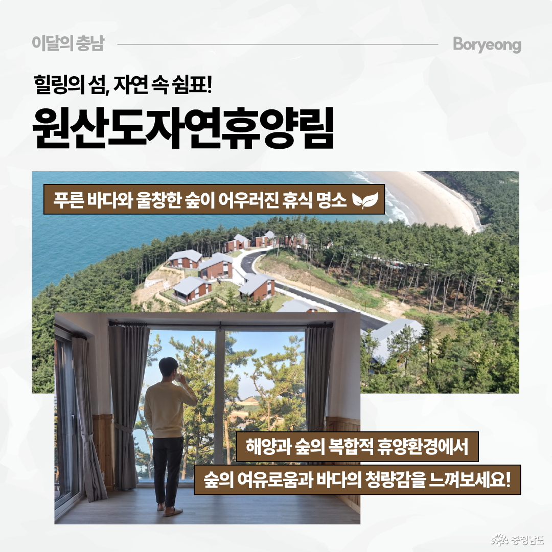 원산도자연휴양림을 소개하는 카드로, 숲과 바다가 맞닿은 휴양림 전경과 객실 안에서 바다와 소나무를 바라보는 모습이 함께 담겨 있습니다. 푸른 바다와 울창한 숲이 어우러진 휴식 명소로, 해양과 숲의 복합적인 휴양환경을 느낄 수 있다고 안내합니다.