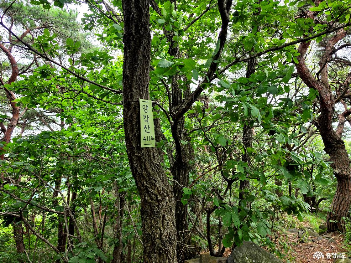 양각산 정상 표시
