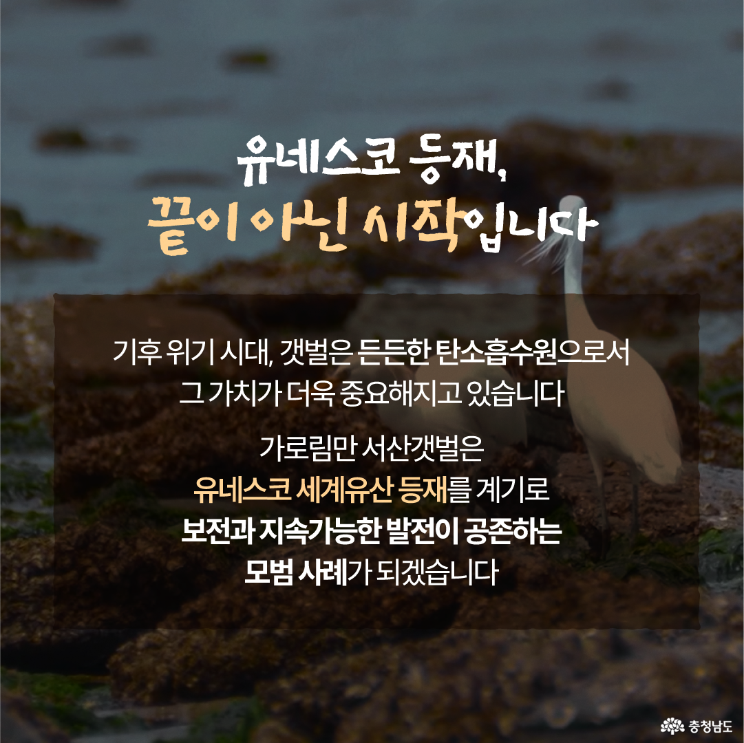 갯벌 위에 서 있는 흰 새와 바위가 흐릿하게 보이는 사진을 배경으로, &ldquo;유네스코 등재, 끝이 아닌 시작입니다&rdquo;라는 문구가 크게 적혀 있습니다. 중앙의 어두운 반투명 박스에는 기후위기 시대 갯벌이 탄소흡수원으로서 중요해지고 있으며, 가로림만 서산갯벌이 보전과 지속가능한 발전이 공존하는 모범 사례가 되겠다는 내용이 담겨 있습니다.