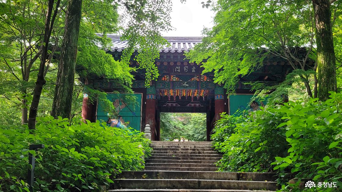 천년고찰 예산 덕숭산 수덕사 금강문