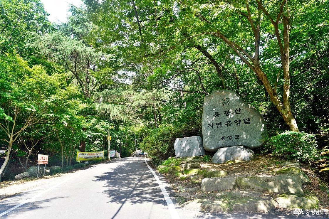 홍성 용봉산 용봉사 오르는길