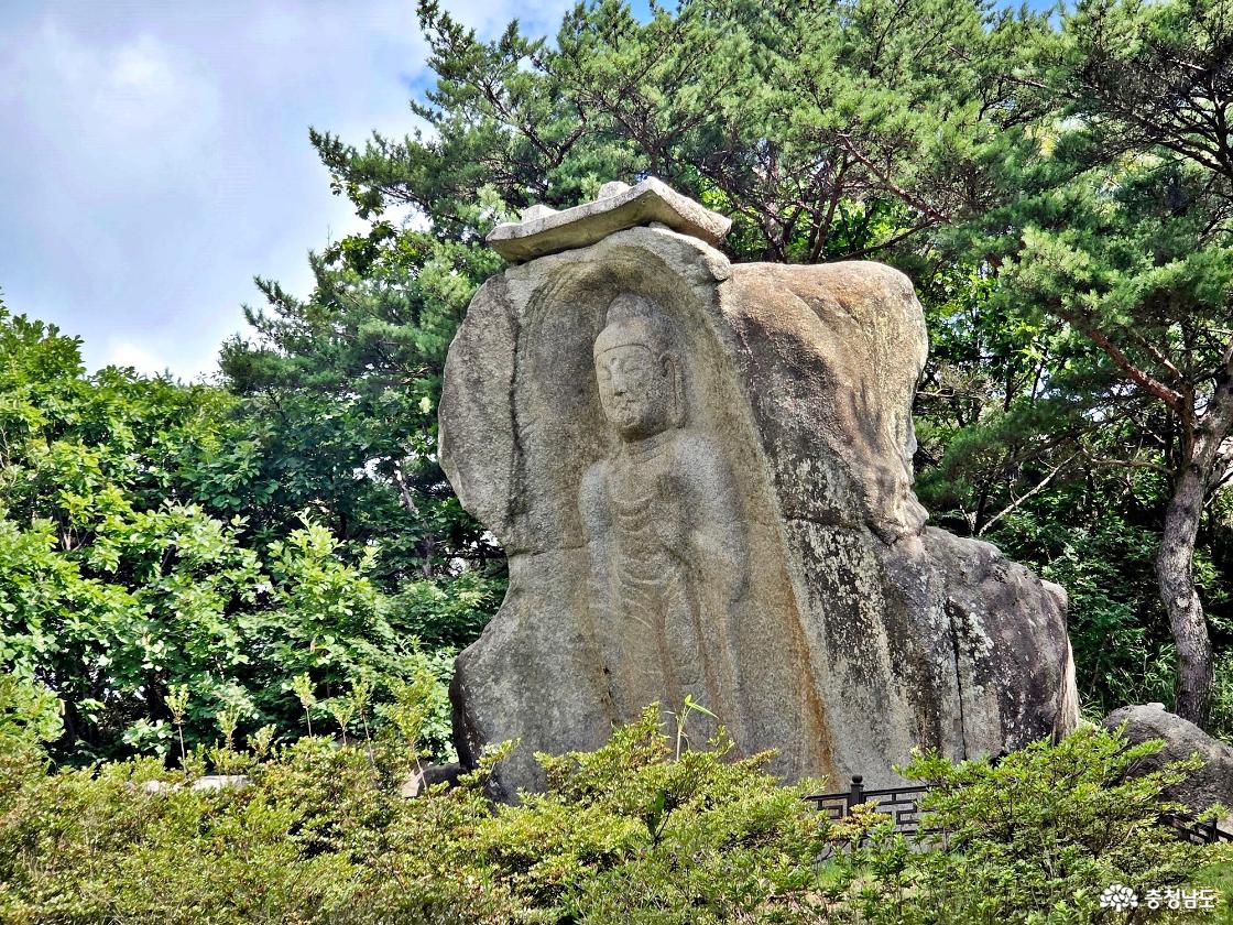 보물 홍성 신경리 마애여래입상