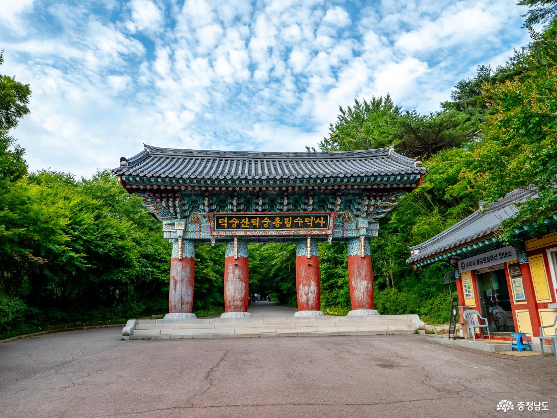 선문